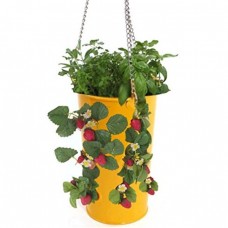 Houston International Trading 8395E SAFF Enameled Galvanized Hanging Strawberry&#44; Floral Planter - Saffron   